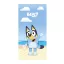 Bluey Ocean Badetuch, Strandtuch 70x140cm (Schnelltrocknend)