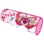 Disney Toy Story Lotso Federmäppchen 23 cm