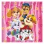 Paw Patrol Happy Team Handtuch, Gesichtstuch 30x30cm