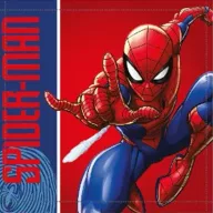 Spiderman City Swing Handtuch 30x30cm