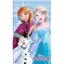 Disney Eiskönigin Friends Forever Handtuch, Gesichtstuch 30x50cm