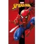 Spiderman City Swing Handtuch, Gesichtstuch 30x50cm
