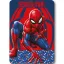 Spiderman Watching Eyes Fleecedecke 100x140cm