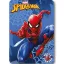 Spiderman Watching Eyes Fleecedecke 100x140cm