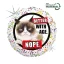 Tiere Better with Age Grumpy Cat Folienballon 46 cm