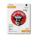 Geburtstag Cool Doggy Happy Birthday Folienballon 46 cm