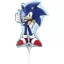 Paw Patrol Larrikin Sonic der Igel Mini-Folienballon 35 cm (WP)