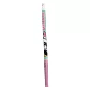Disney Minnie Joy Schreibset 5-teilig