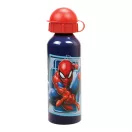 Spiderman World of Web Sandwichbox + Aluminiumflaschensatz