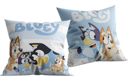 Bluey Kissen, Zierkissen 40x40 cm