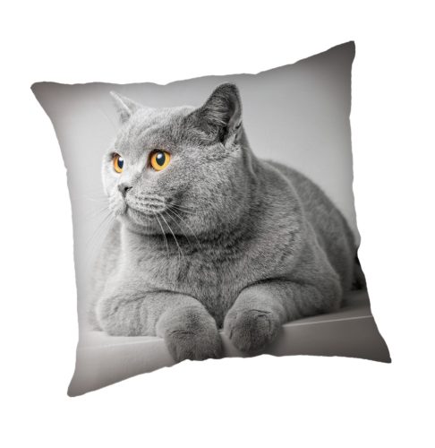Katze Grey Kissenbezug 45x45 cm