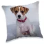 Hund Dekokissen 40*40 cm