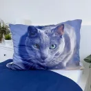 Katze Dark Bettbezug 140×200cm, 70x90 cm Mikrofaser