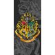 Harry Potter Badetuch, Strandhandtuch 70*140cm