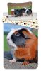 Tiere Meerschweinchen Bettwäsche 140×200cm, 70×90 cm