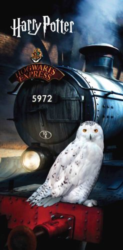 Harry Potter Hedwig Badetuch, Strandtuch 70x140 cm