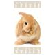 Hase Brown s Badetuch, Strandtuch 70x140cm