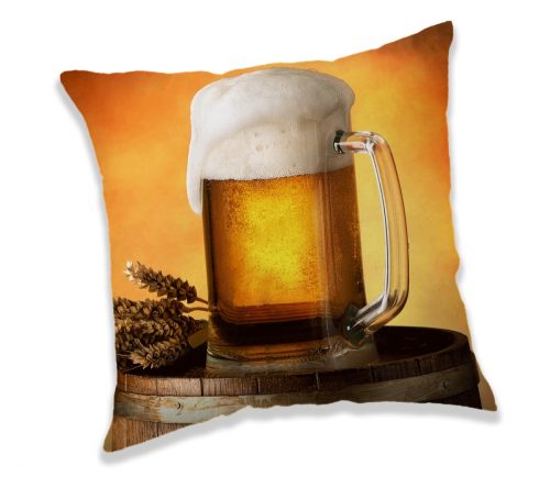 Bier Dekokissen 40x40 cm