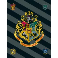 Harry Potter Crest Polar-Fleecedecke 100x150cm