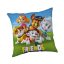 Paw Patrol Friends Dekokissen 40x40 cm
