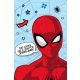 Spiderman Star Mikroflanell-Decke 100x150cm