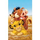 Disney Der König der Löwen Pride Lands Trio Handtuch, Gesichtstuch, Handtuch 30x50 cm