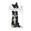 Hund Border Collie Bettwäschebezug 140×200cm, 70×90 cm