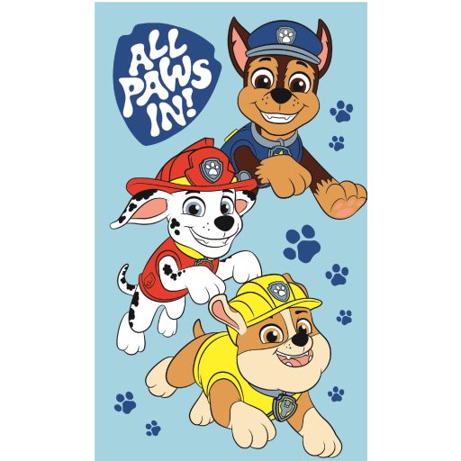 Paw Patrol Boys Handtuch 30x50cm