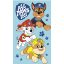 Paw Patrol Boys Handtuch 30x50cm