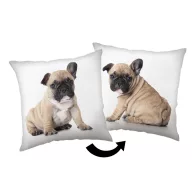 Hund Bulldog Dekokissen 40x40 cm