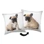 Hund Bulldog Dekokissen 40x40 cm