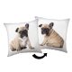 Hund Bulldog Dekokissen 40x40 cm