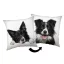 Hund Border Collie Dekokissen 40x40 cm
