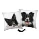 Hund Border Collie Dekokissen 40x40 cm