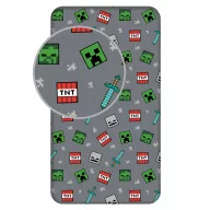 Minecraft We Got This Spannbetttuch 90x200 cm