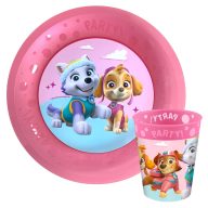 Paw Patrol Skye and Everest Micro Premium Kunststoff-Set