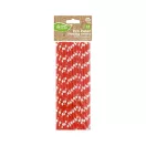 Farbe Red Polka Dots Rote Papierstrohhalme 24er-Pack