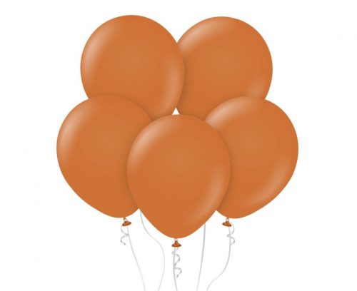 Pastel Caramel Ballon, Luftballon 10 Stück 12 Zoll (30 cm)