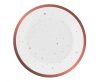 Farbe Rose Gold Celebrate Rosa Pappteller 6 Stk 18 cm
