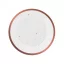 Farbe Rose Gold Celebrate Rosa Pappteller 6 Stk 18 cm