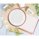 Farbe Rose Gold Celebrate Rosa Pappteller 6 Stk 18 cm