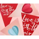 Liebe Love is in the air Wimpelkette 270 cm