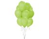 Grün Pistachio Ballon, Luftballon 10 Stück 10 Zoll (26 cm)