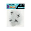 Spinnennetz mit Spinnen