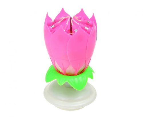 Farbe Pink Rosa blumige musikalische Geburtstagskerzenset