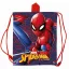 Spiderman Great Power Lunchbag 30 cm