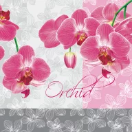 Blume Romantic Orchideenserviette 20 Stk 33x33 cm