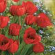 Blume Bunch Tulpen Papier Serviette 20 Stk 33x33 cm