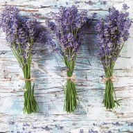   Blume Three Bunches Lavendel Serviettenset, 20 Stück, 33x33 cm