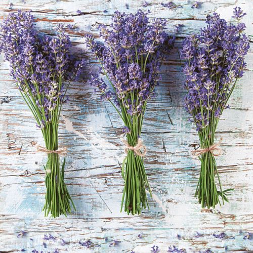 Blume Three Bunches Lavendel Serviettenset, 20 Stück, 33x33 cm